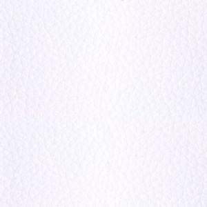 ecopelle bianco 111